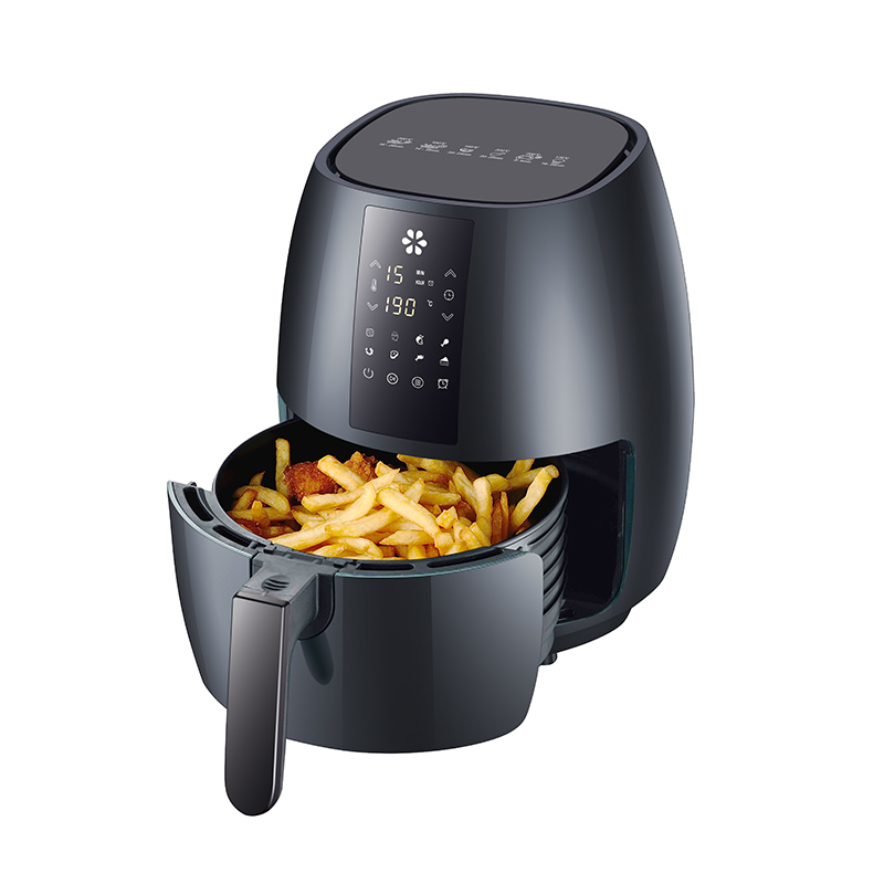 DH-108A programmable fryer aeris in tempore munus munus